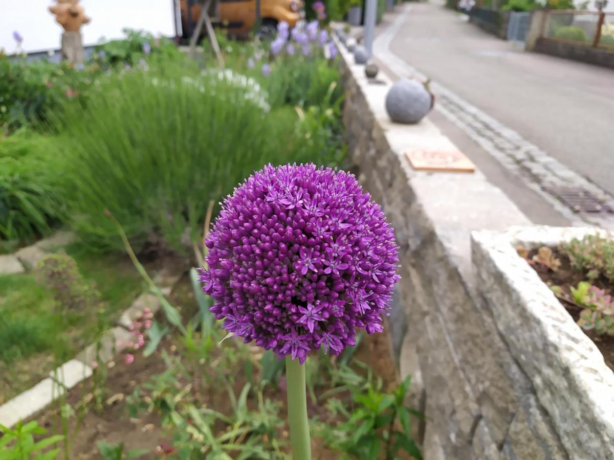 Appartamento Kleine Auszeit Beimerstetten Esterno foto